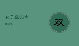 双子座5，6今日运势