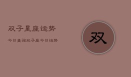 双子星座运势今日查询，双子座今日运势精准查询