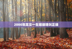 2000年龙女一生姻缘啥叫正缘，2000年龙女感情