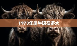 1973年属牛现在多大(属牛人的年龄计算方法及特点)