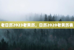 老日历2023老黄历，日历2020老黄历表