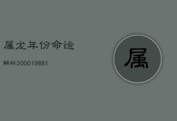 属龙年份命运解析：2000、1988、1976年生人运势揭秘