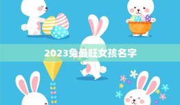 2023兔最旺女孩名字(热门趋势探索最受欢迎的命名风格)