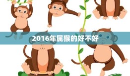 2016年属猴的好不好(猴年大吉还是小凶)