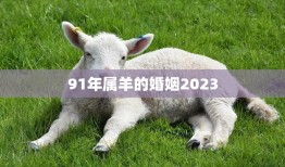 91年属羊的婚姻2023(如何应对婚姻中的挑战)