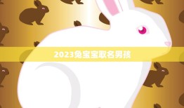 2023兔宝宝取名男孩(如何选择最佳名字)