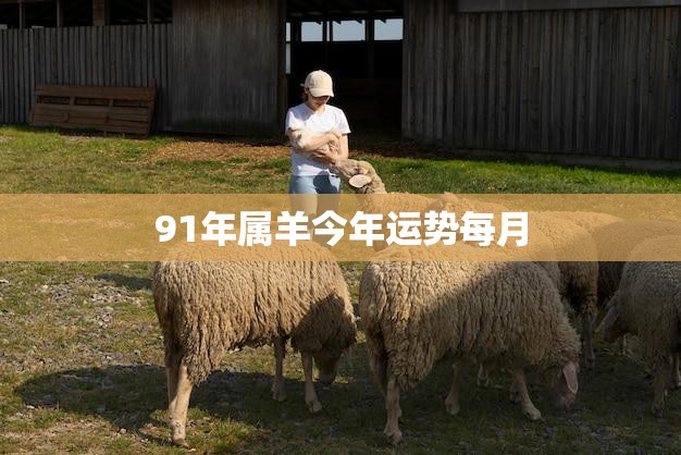 91年属羊今年运势每月(详解财运旺盛感情顺利)