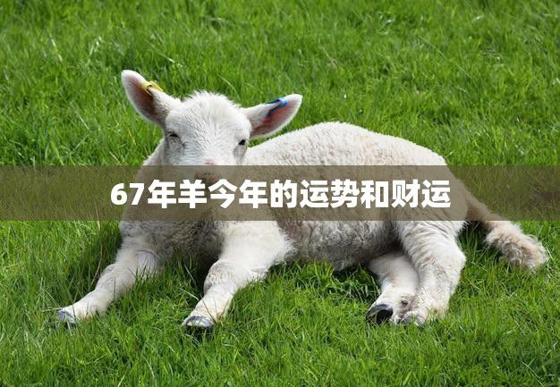 67年羊今年的运势和财运(财运旺盛事业顺利)